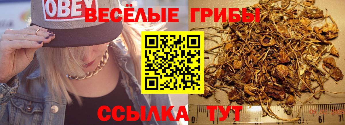 Псилоцибиновые грибы мицелий Белебей