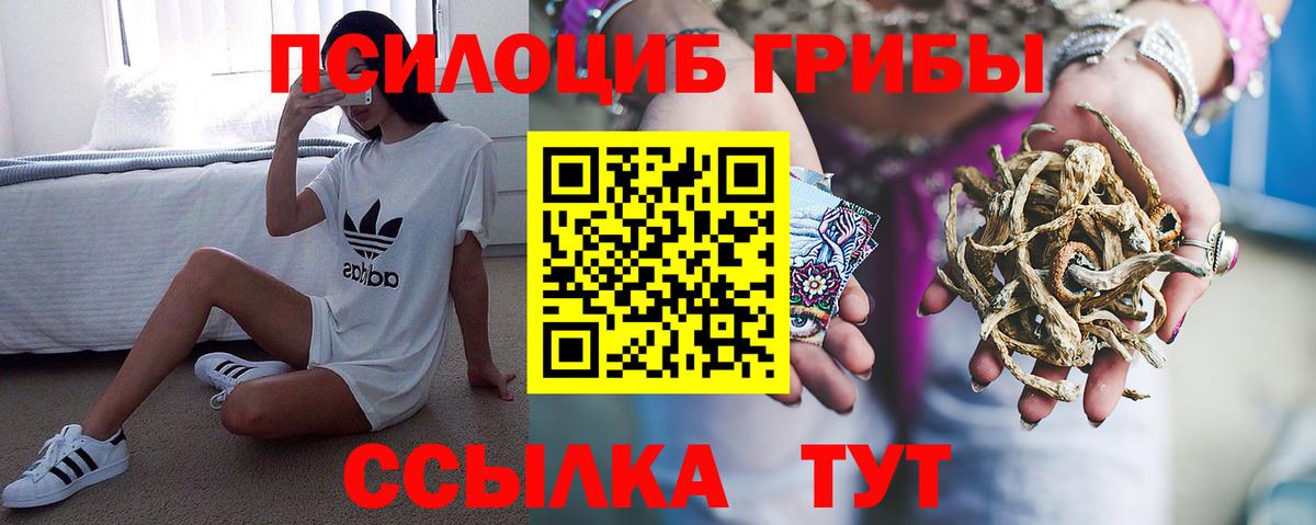 Белебей  Галлюциногенные грибы Magic Shrooms  Вход с VPN 